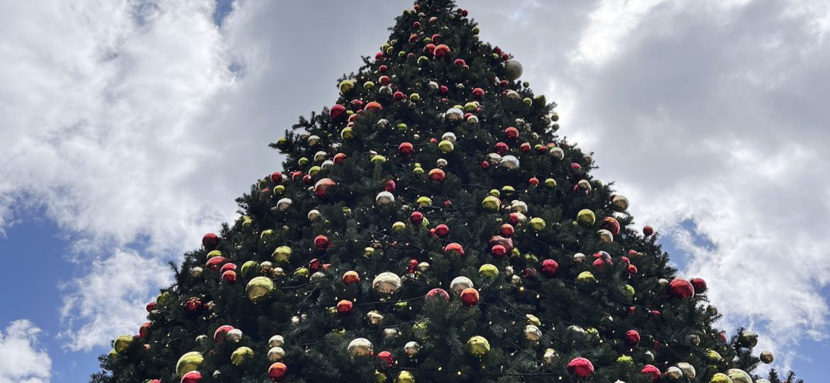 Weihnachtsbaum-Gabentisch-2023