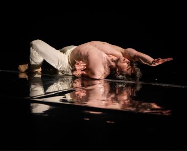 20250607_Narcis_foto Rab Zoltan-15