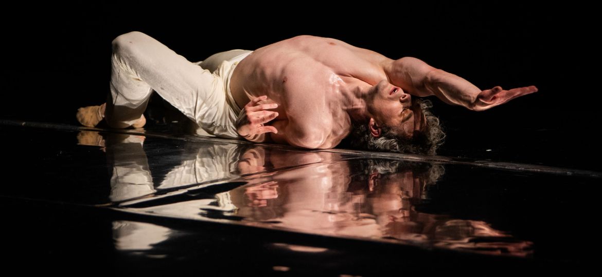 20250607_Narcis_foto Rab Zoltan-15